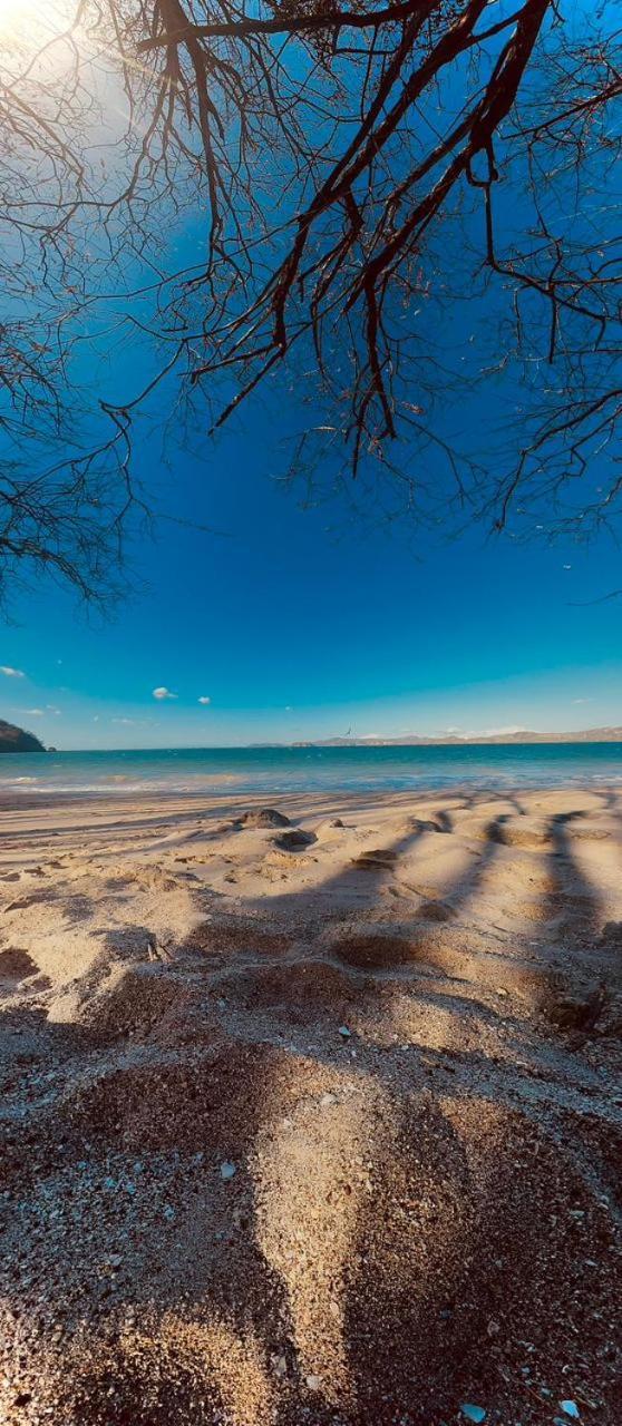 Tamarindo Beach, Prime Location, Fantastic Watersalt Pool & Cold Plunge, Family & Friends Buitenkant foto